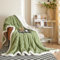 QOFLY Kuscheldecke Flauschig 150x200, Grün Dicke Warme Sofadecke Wohndecke kuschelig für Herbst und Winter, XL Sherpa Decke Couchdecke Überwurf Zweiseitige Fleecedecke