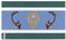 Drapeau de la Nation innue du Québec et Labrador Plusieurs Tailles en Polyester 14x21cm 1. Aucun œillets