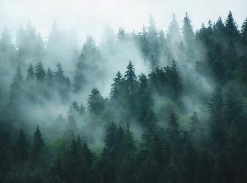 Livingwalls Fototapete Natur in Grün, Blau, Petrol - hochwertige Vliestapete 398981 mit Motiv auf 3,71 m x 2,80 m - Made in Germany