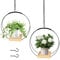 YHNDECO 2 Stück Blumenampel Hängend Innen, Schwarz Metall Blumentopf Hängeampel mit Holzsockel, Hängeampel Blumen, Hängepflanzen Topf fur Zimmerpflanzen Sukkulenten Luftpflanzen Kaktus