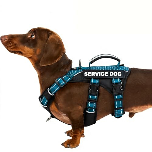 Huntboo Hundegeschirr Kleine Hunde, Sicherheitsgeschirr Hund Ausbruchsicher mit 6 Patches, Service Geschirr Hund mit Griff, Anti Zug Hundegeschirr, Verstellbar, 2 D-Ringe, Reflektierend (Petrol,S)