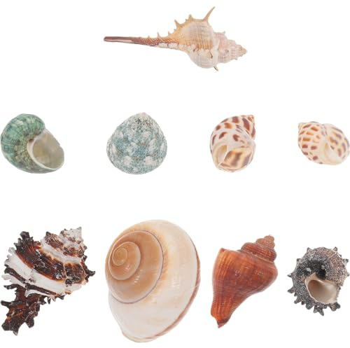 Abaodam 9 Coquillages Naturels pour Bernard-l'hermite, Décorations de Conques sous-Marines, Ornement Aquarium, Lot 8 Pièces 1 Présent, Décor pour Poissons et Terrarium, Style Aléatoire