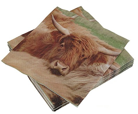 Glen Appin of Scotland Highland Cow Coo 3 Ply Paper Napkins
