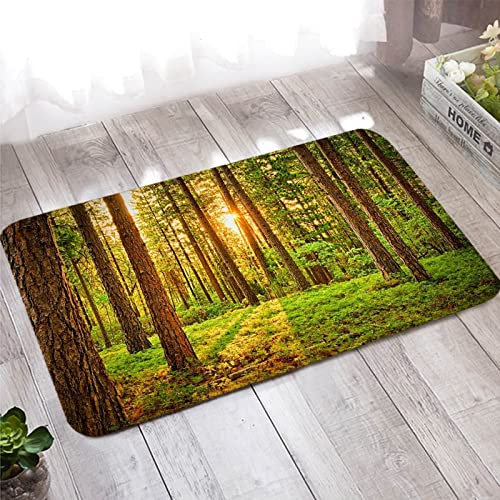 Banemi Teppich Wohnzimmer, Fußmatte Schmal 60X180cm Grün Braun Sonnenlicht Stamm Heimtextilien