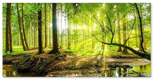 MuchoWow© Gartenposter Groß 200x100 cm XXL Outdoor Bilder Gartendeko für draußen Wetterfest Garten Deko Banner Draußen Gartendekoration Bild Wald - Landschaft - Wasser - Bäume - Sonne - Grün - Natur