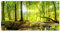 MuchoWow© Gartenposter Groß 200x100 cm XXL Outdoor Bilder Gartendeko für draußen Wetterfest Garten Deko Banner Draußen Gartendekoration Bild Wald - Landschaft - Wasser - Bäume - Sonne - Grün - Natur