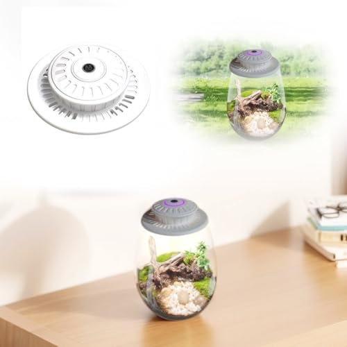 Fiorky Lampe de culture LED, fougère mousse micro-paysage avec minuterie, lampe de croissance de plantes, 6 500 K, terrarium en verre, lampe de culture pour plantes d'intérieur, plantes