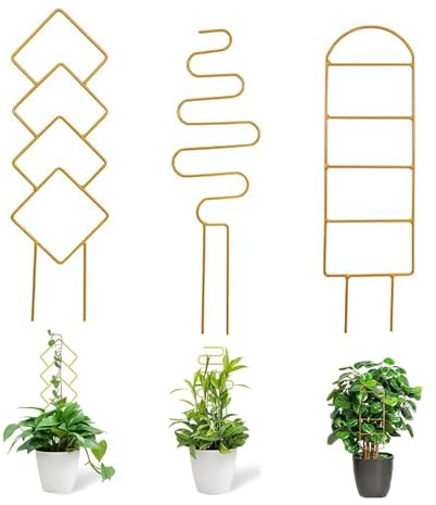Molyorch 3 Stück Rankhilfe für Zimmerpflanzen, Rankgitter für Zimmerpflanzen und Garten, Garten Pflanzenstütze Rankhilfe Aus Metall, Aus Metall, für Deko Wohnzimmer (Gold)