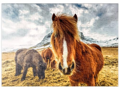 MyPuzzle Pferde in den Bergen von Island - Premium 200 Teile Puzzle - MyPuzzle Sonderkollektion von Puzzle Galaxy