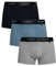 Ted Baker Herren 3 Packungsstämme, Navy Mix, XL