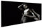 islandburner Prime Bild auf Leinwand Paar Liebe Erotische Spiele Bilder Wandbilder Poster