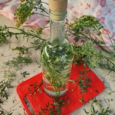 300 Semi di Ruta Officinale, (Ruta graveolens) Erba Aromatica per Cucina e Liquori
