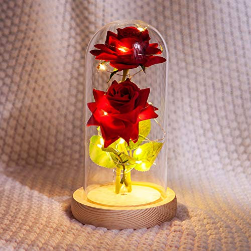 Frmarche Rose incantata rosa eterna sotto campana rosa elegante cupola in vetro con luci LED regalo per Natale, festa, compleanno, matrimonio