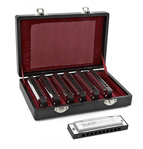 7-teiliges diatonisches Blues-Mundharmonika-Set für Einsteiger Silver mit Etui