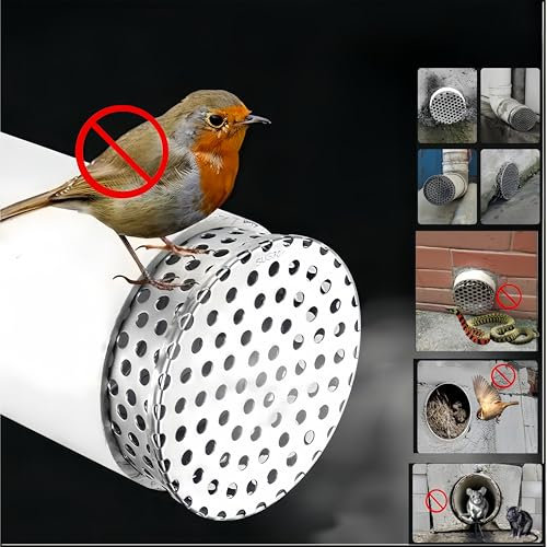 Regenrinnen-Downsport-Schutz, 11 cm, Edelstahl-Filter, Dachrinnen-Fallrohrschutz zur Verhinderung von Verstopfungen, Blättern verhindert, dass Schlangen, Mäuse und Vögel durch Rohre in das Haus