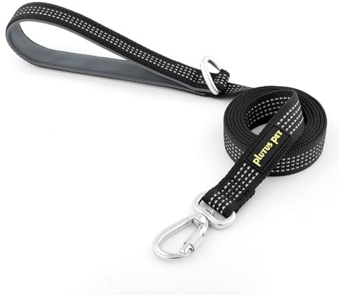 Plutus Pet Robuste Hundeleine mit abschließbarem Aluminium-Karabiner, 1,2 m lang, doppelseitiges, reflektierendes Nylon, gepolsterter Griff, für Welpen, kleine, mittelgroße und große Hunde, Schwarz