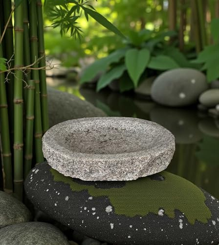 Asien Lifestyle Granit Insekten-Tränke 31 cm – Bienen-Bar aus massivem Granitstein, frostfest für Garten & Terrasse