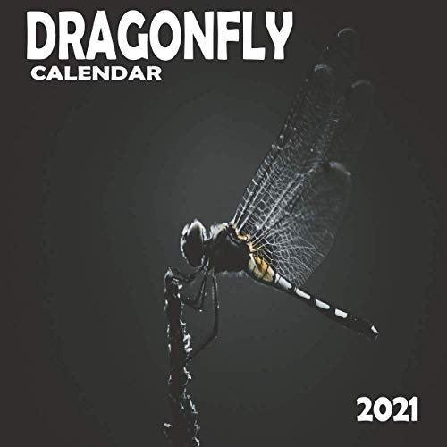 Dragonfly Calendar 2021: 16 Month Mini Wall Or Desk Calendar For Office, Home Or School