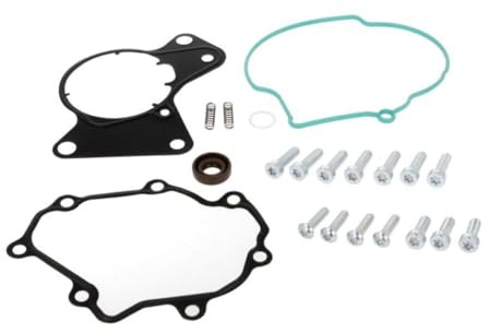 ENGITECH ENT410004 Reparatursatz Unterdruckpumpe (Bremsanlage) Kompatibel mit VW Transporter T5 Bus 7HB, 7HJ, 7EB, 7EJ, 7EF, 7EG, 7HF, 7EC 070145209F 070145209H 070145209J