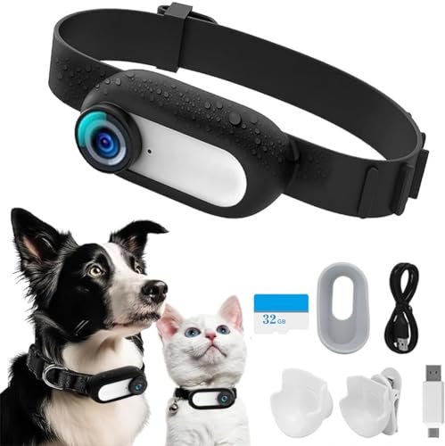 AZURAOKEY Collar para cámara de gato con tarjeta SD de 32 GB, HD 1080P Collar de perro, cámara de acción mini cámara inalámbrica para collar de gato, collar de mascota cámara al aire última
