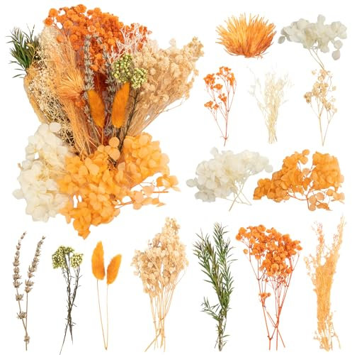 LAUMOE Trockenblume, Deko Blumen Pampasgras Klein Getrocknete Blumen Trockenblumen Zum Basteln Set Trockenblumen Frühling Bunt für DIY Hochzeitsdeko Wohnkultur