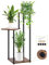 Rainie 3 Tier Plant Stands Indoor Outdoor, Metal Flower Shelf Corner Flower Pots Holder for Multiple Plants, Tiered Plant Stand Display Rack for Living Room Bedroom Balcony Garden Patio(Black)