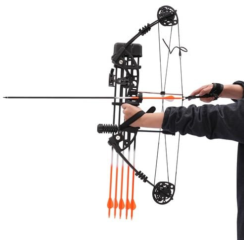 30-60LBS Compoundbogen Set Enthalten 10 Target Papers & 12 Arrows Erwachsene Bogenschießen Set für Erwachsene Jugend Anfänger