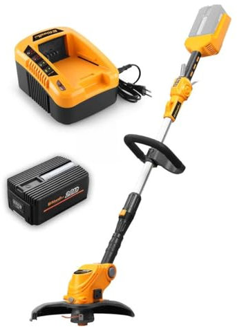 RIWALL PRO RALT 3040 Set – Débroussailleuse électrique sans fil – Largeur de coupe 30 cm – 40 V + Chargeur 40 V + Batterie 40 V (2 AH)