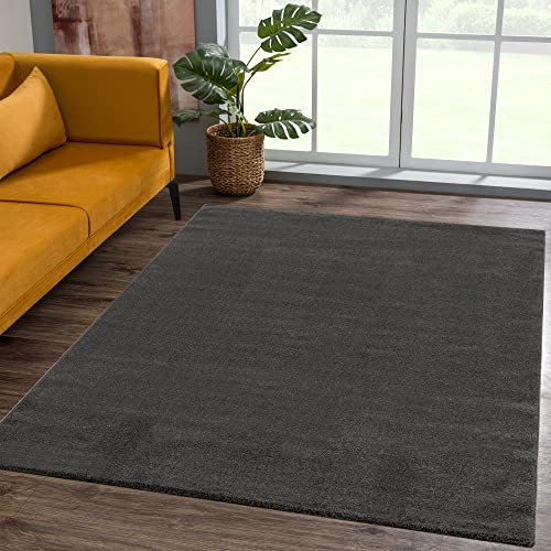 SANAT Kurzflor Teppich Wohnzimmer - Uni Modern Teppiche fürs Schlafzimmer, Arbeitszimmer, Büro, Flur, Kinderzimmer und Küche - Dunkelgrau, 80 x 150 cm