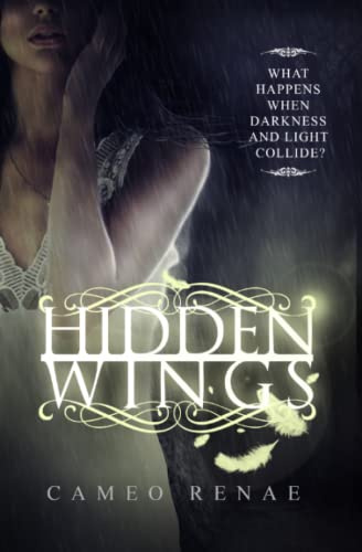 Hidden Wings (Hidden Wings Series Book One): 1