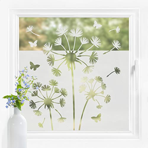 Bilderwelten Fensterfolie Sichtschutz Pusteblumen 60 x 120 cm Milchglasfolie Sichtschutzfolie Fenster Folie Blickdicht Anti-UV Statisch Haftend Querformat