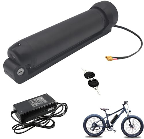 JHKJ Unterrohr-Akku 24V 36V Lithium-Akkupack 7Ah 7,5Ah 8,7Ah 9,6Ah 10,5Ah Trinkflaschen Lithium-Akkus für E-Bikes mit Ladegerät,Plug2 24v9.6ah