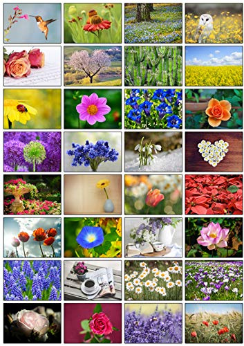 32 Different Flower Photo Blank Greeting Cards