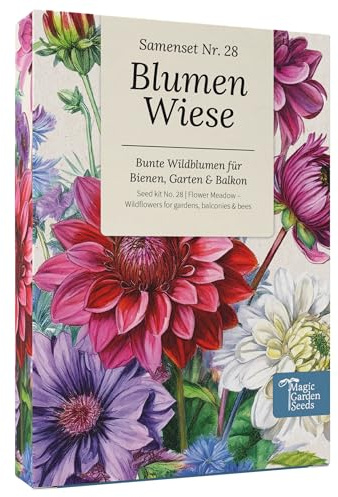 Magic Garden Seeds Semillas para pradera floral con 12 flores silvestres