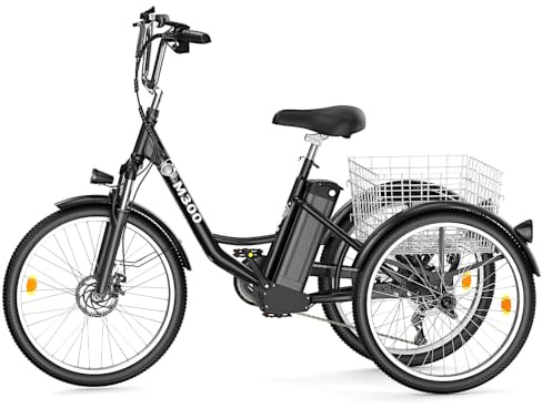 Fanesen 24 Zoll Elektrisches Dreirad für Erwachsene, 3-Rad-7-Gang-Seniorenfahrrad mit Einkaufskorb, mit G51 LCD-Display, 36V 18.2Ah Senioren-Transportdreirad, Outdoor Fahren Dreirad Freizeit Cityräder