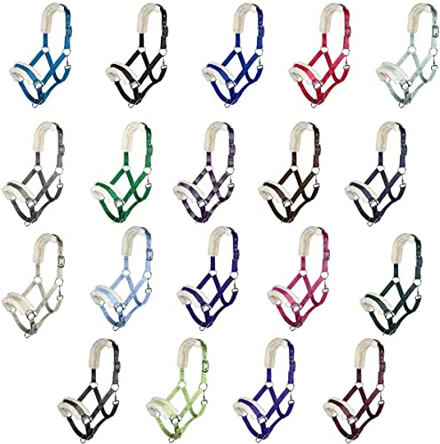 Posten Halfter-11796 lila Vollblut