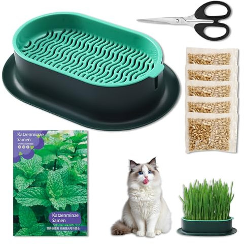 Dongcill Katzengras Keimschale Set,mit1000 Katzenminze Samen,100g Katzengras Samen,Sprossen Anzuchtset