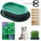 Dongcill Kit Erba Gatta Double Seeds,Scatola per Erba Gatta Semi Kit con Semi 1000 Menta di Gatto + Erba per Gatti 100g,Vaso Germinante,Scatola per Erba Senza Terra