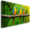 Papageien auf einem Ast 120x 60cm Panorama Leinwand Bild XXL Format Wandbilder Wohnzimmer Wohnung Deko Kunstdrucke