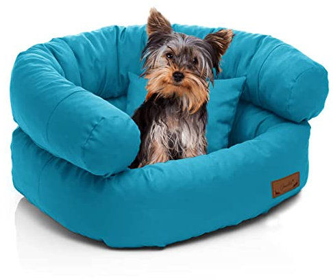Juelle Kleinhund Hundebett - Kleinhundkissen, Abnehmbarer Bezug, maschinenwaschbar, flauschiges Bett, Hundesofa - Sessel York (50x40x30 cm, Türkis)