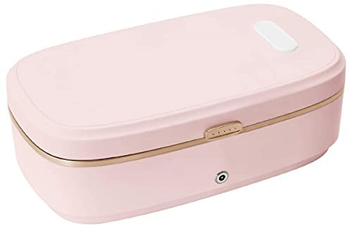 Chauffe-repas électrique avec récipient en céramique 110 V et 12 V Dual Purpose Lunch Heater Réchaud portable avec vaisselle et interface magnétique Convient pour la maison