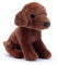 Zappi Co Coco der Schokoladen Labrador Plüschhund (15cm) - Choco-Lab Freund - Weich, Kuschelig, Recycelt - Perfekter Welpen-Kuschelfreund