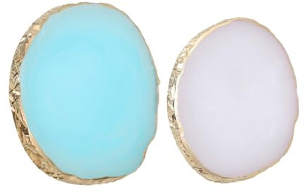 Didiseaon 2 Pz Tavolozza per unghie vassoio miscelatore tavolozza di colori Palette per unghie Palette di colori tavolozza di smalti per unghie pallet smalto per unghie in gel resina