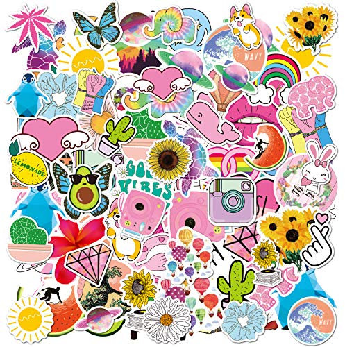 Kamndex 100pcs Aufkleber Snowboard Wasserdicht, Skateboard Sticker Aesthetic, Sticker Frühling Set Vintage Laptopaufkleber für DIY Tastatur Autofenster Stoßstange Wandgepäck Auto Motorräder Fahrrad