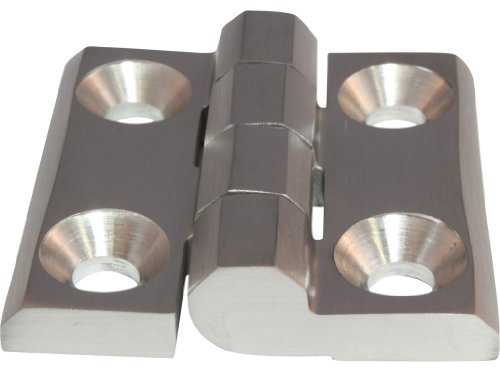 007021 Charnière en acier à vis Acier inoxydable inox 40 x 40 mm 270 ° AISI 316