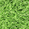 QLINLEAF 0,5 kg Ostern Grünes Gras Bastgras Geschenkkorb Füllstoff Shred Papier für Ostern Party Dekoration Hochzeit Geburtstag Geschenkkorb Füllung