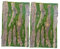 SEWOART Aquarium-hintergrundbrett Rindenbrett 3D-Effekt Reptilientank-Hintergrund Lebensraum Stereo Haltbar Visuell Tiefe