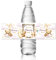 ANATTASOUL 30pcs Etiquetas para Botellas Oso y Luna de Agua Envolturas de Botellas de Agua Pegatinas para Botellas de Agua para Decoración de Fiestas