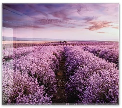 Herdabdeckplatte 60x52 cm einteilig – Lavendelfeld in der Provence | ESG Glas Ceranfeldabdeckung, Schneidebrett, Abdeckplatte, Herd, Induktion, Küche