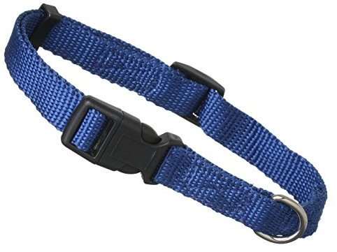 Scarlet pet | Hundehalsband »Universal« mit Klickverschluss und Längenverstellung; Diverse Farben und Größen; Robustes Nylon (M: 29-45 x 2 cm/Blau)